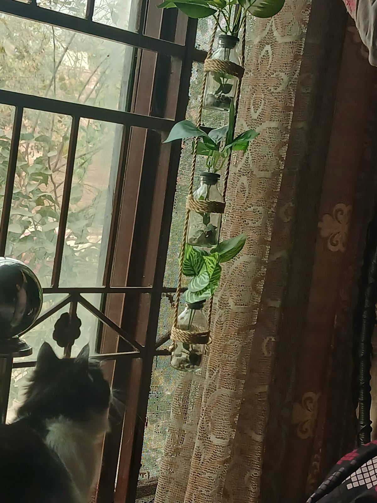 Hanging Bloom Bottles Wall Décor – Decorative Floral Bottle Strings for Home Decor